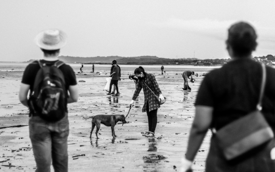 Greyscale photo of people cleaning up a beach shore